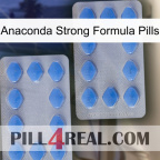 Anaconda Strong Formula Pills 20